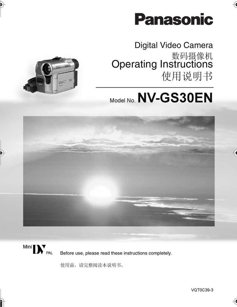 Panasonic NV-GS30EN User manual