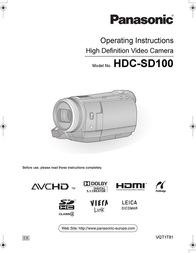 Panasonic HDC-SD100 User manual