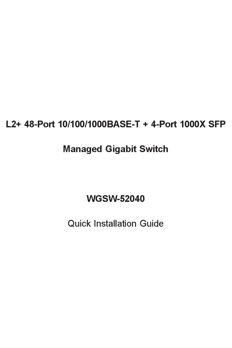 Planet WGSW-52040 User manual