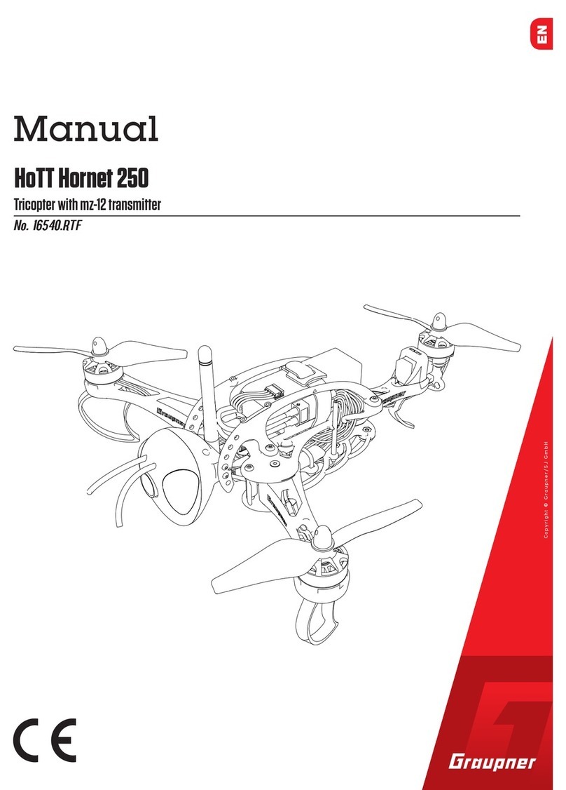 GRAUPNER HoTT Hornet 250 manual