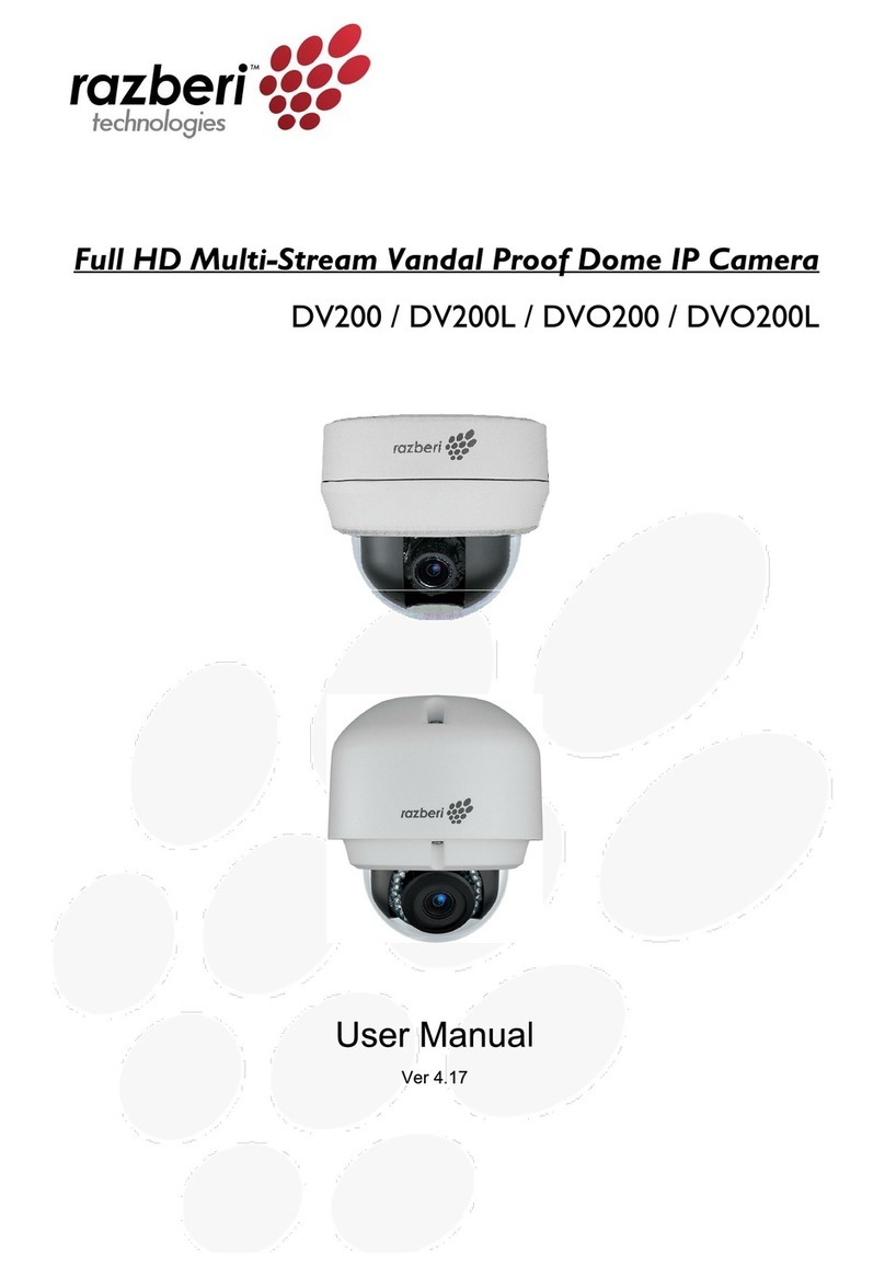 Razberi DV200 user manual