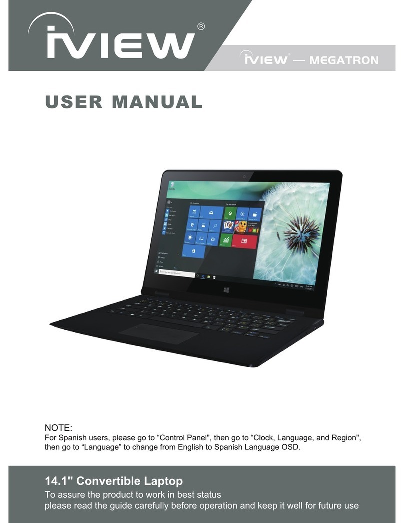 I-View MEGATRON user manual