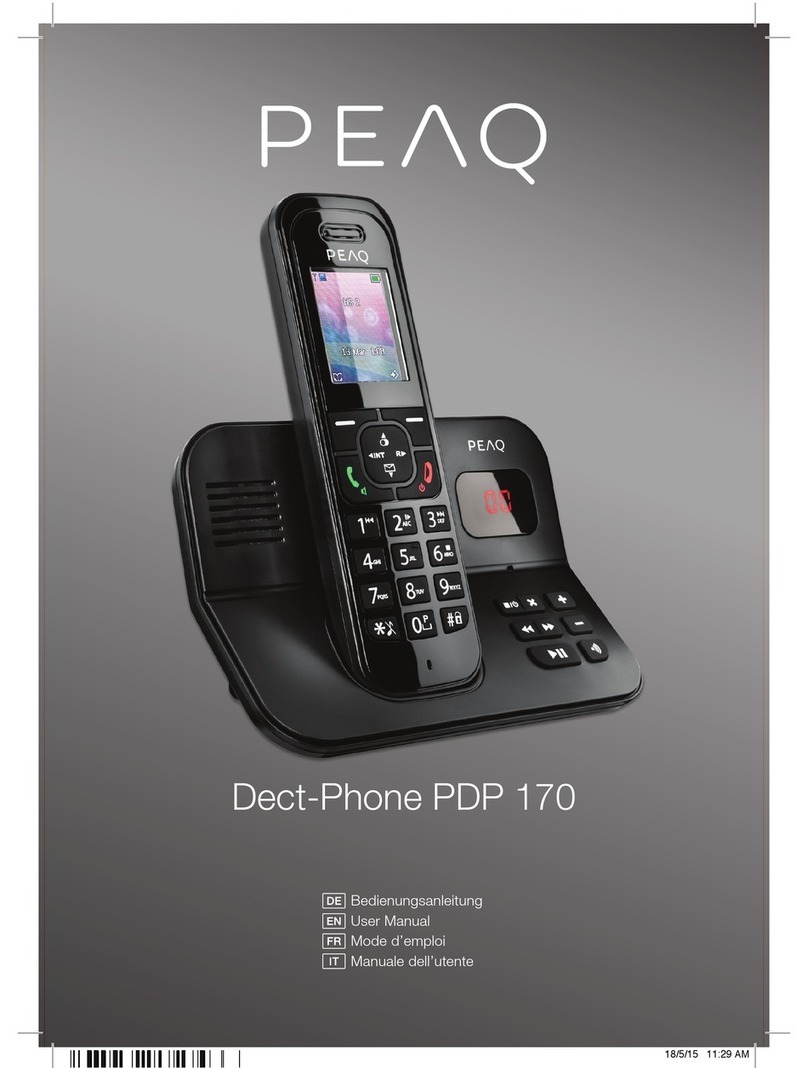 Peaq PDP 170 user manual