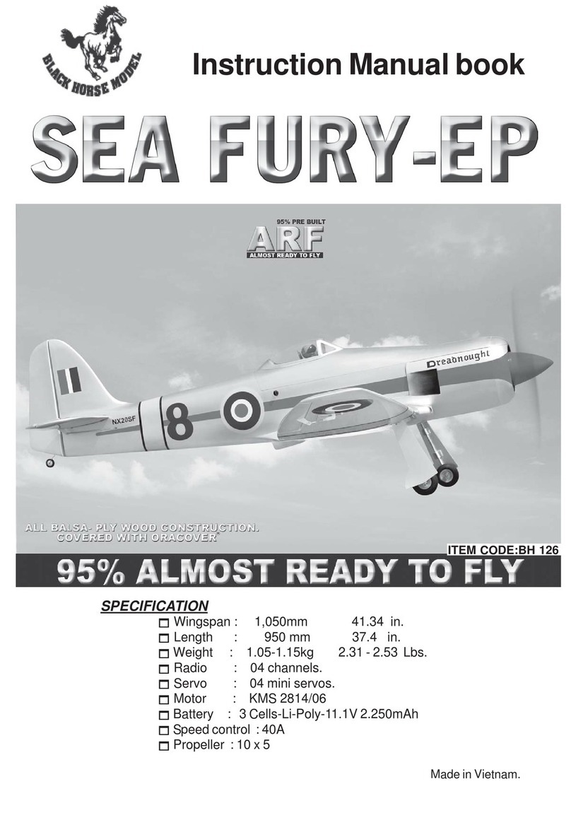 Black Horse Model sea fury-ep User manual