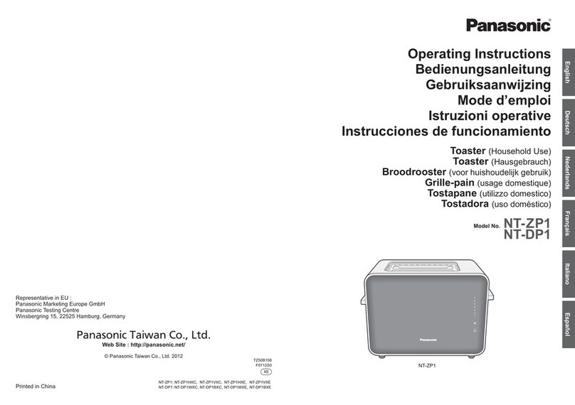 Panasonic NT-DP1 operating instructions