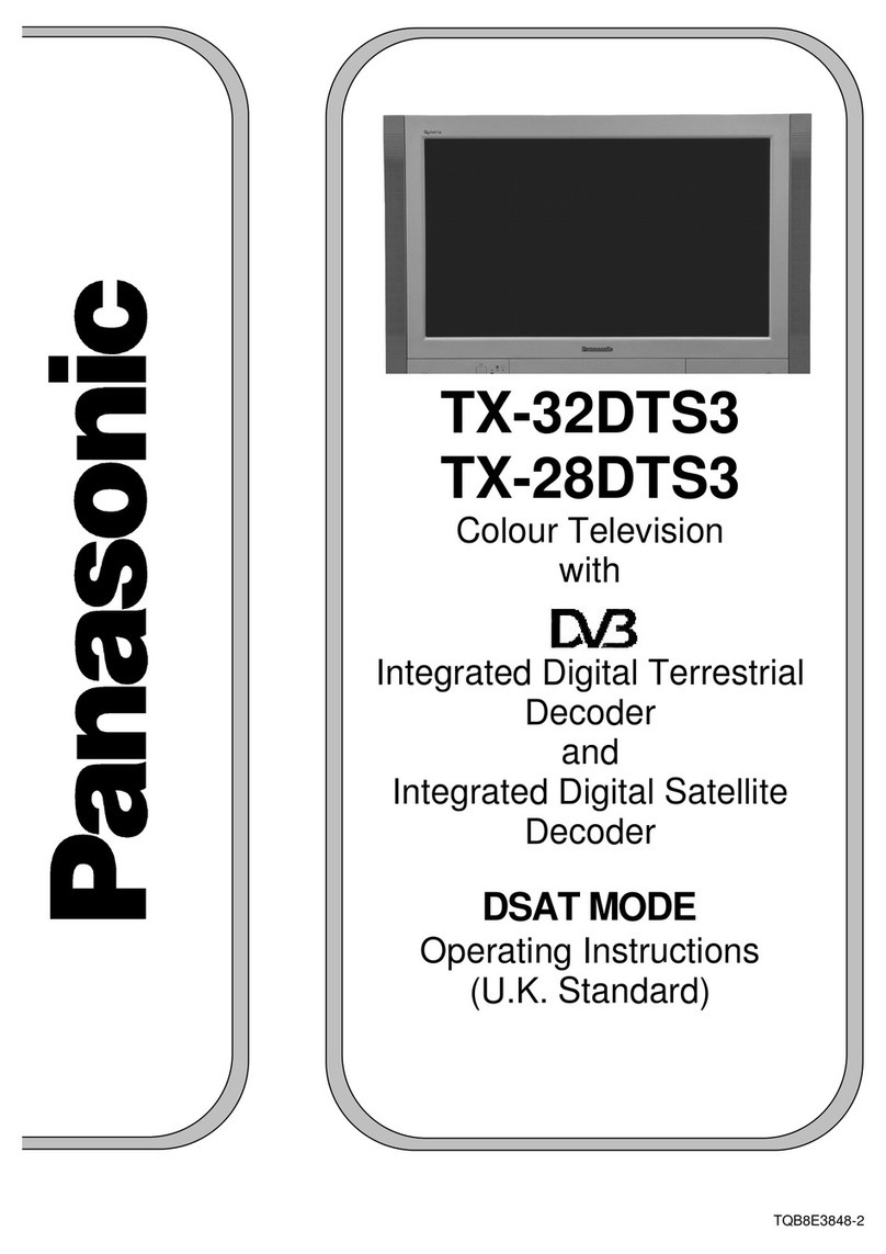 Panasonic TX-28DTS3 User manual