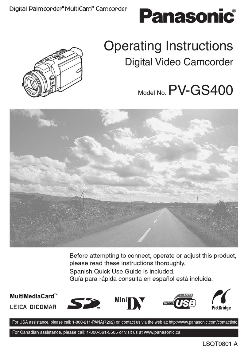 Panasonic Palmcoder Multicam PV-GS400 User manual