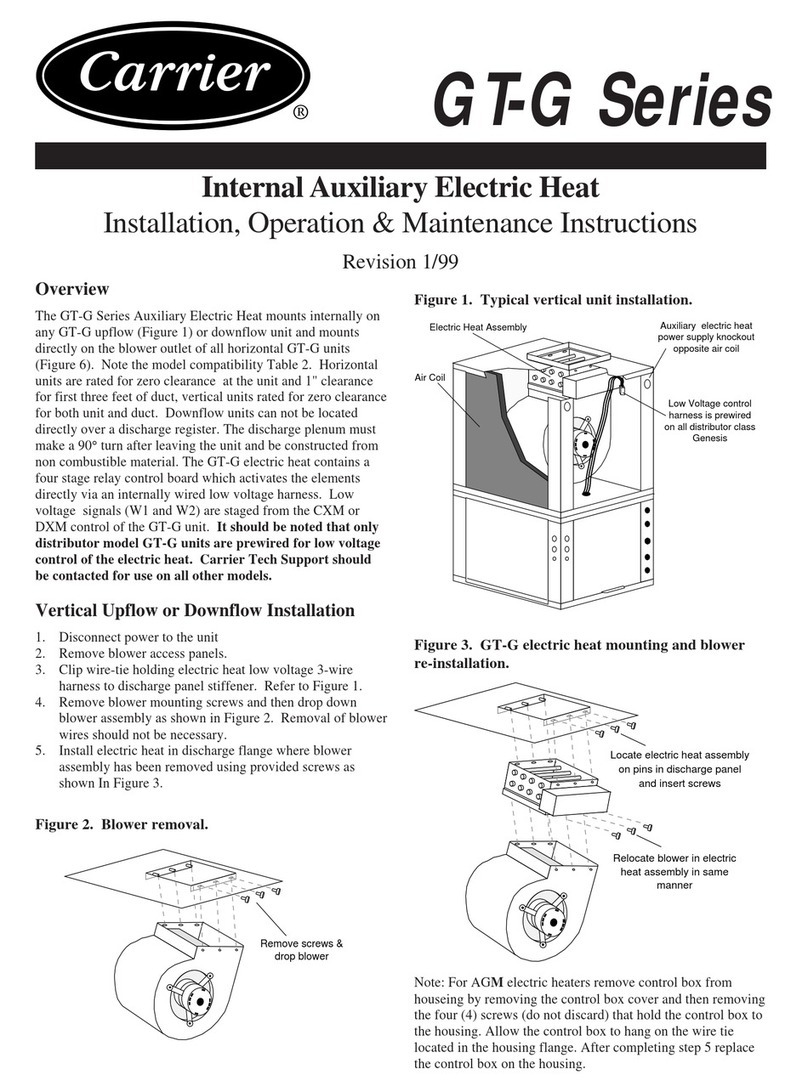 Carrier GT-G Series Installation, operation & maintenance instructions