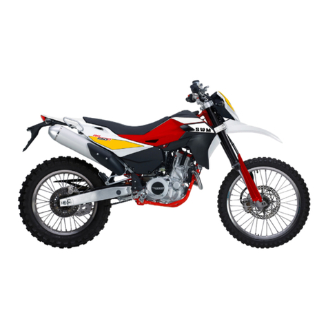 SWM RS 650 R 2016 Service manual