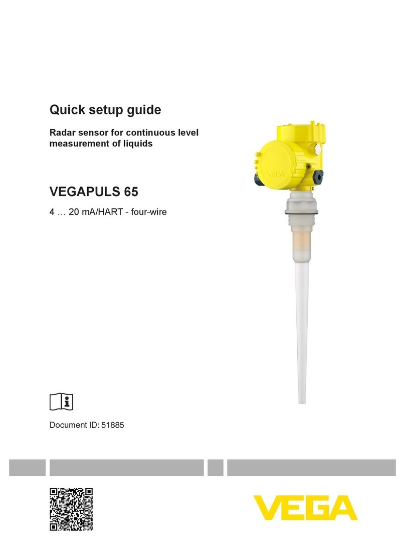 Vega VEGAPULS 65 User manual