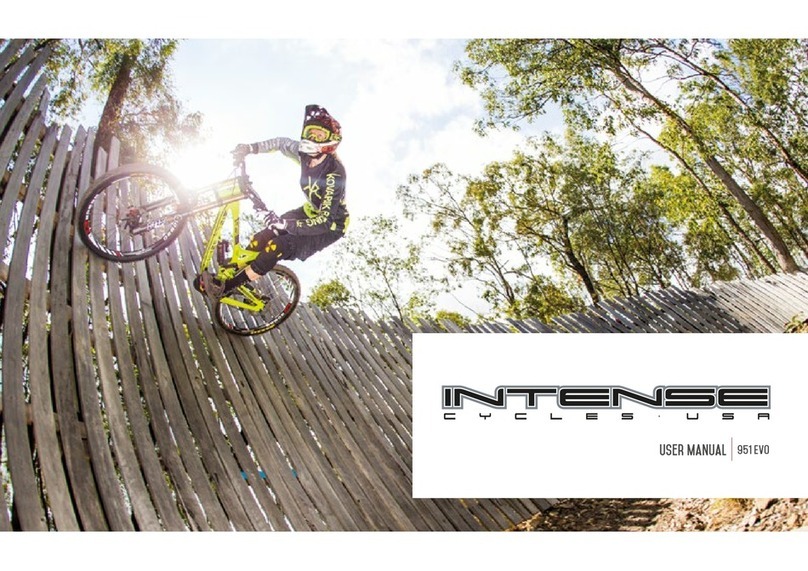 INTENSEcycles 951 EVO user manual