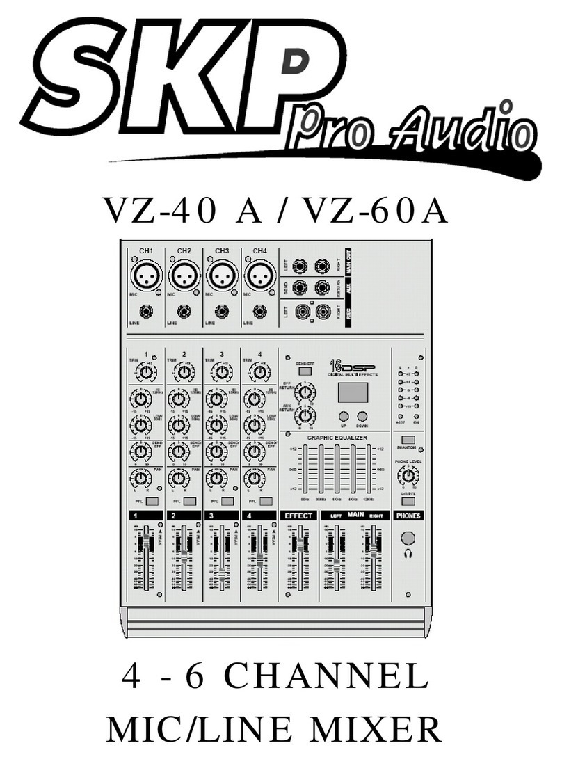 SKP Pro Audio VZ-40 A user manual