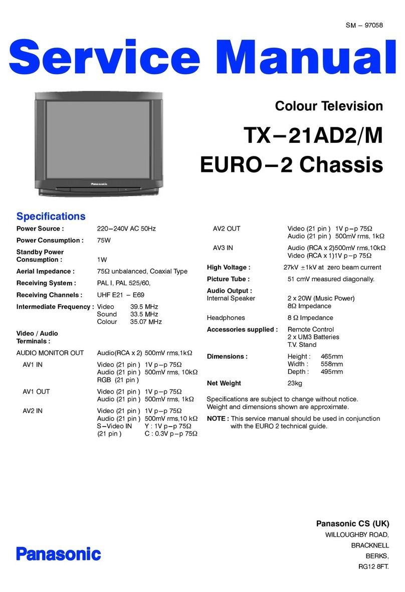 Panasonic TX-21AD2/M User manual