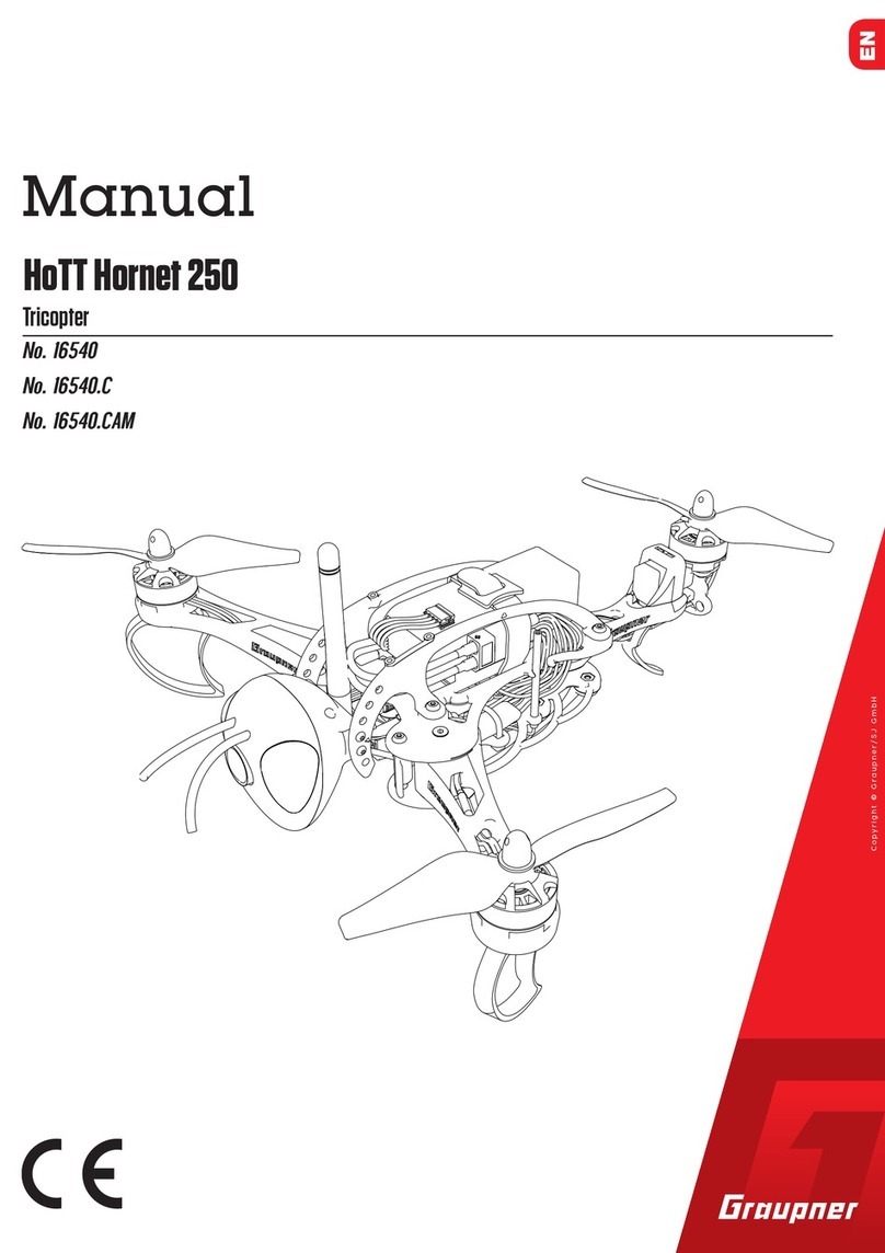 GAUPNER HoTT Hornet 250 User manual