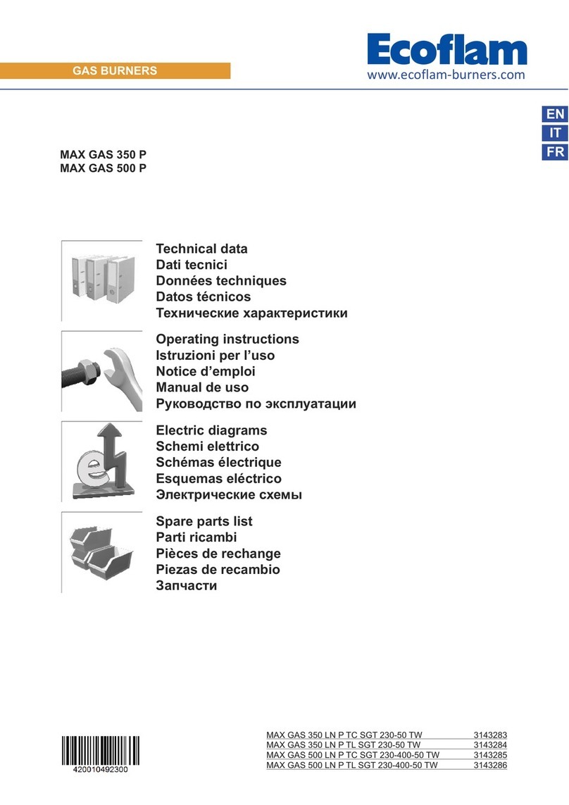 Ecoflam MAX GAS 350 P AB manual