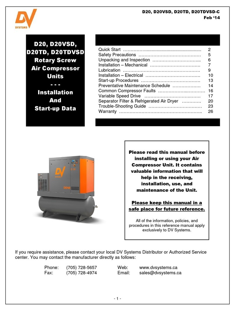 DV Systems D20 Installation and start-up manual
