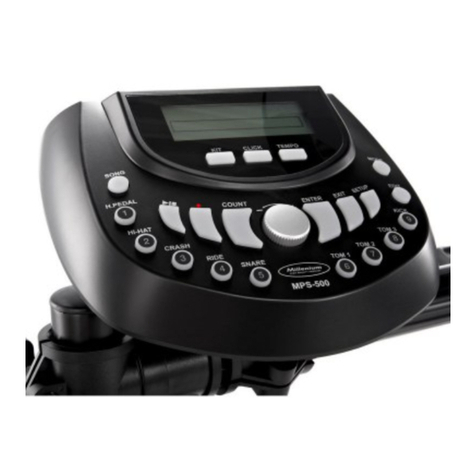Millenium MPS-500 USB user manual