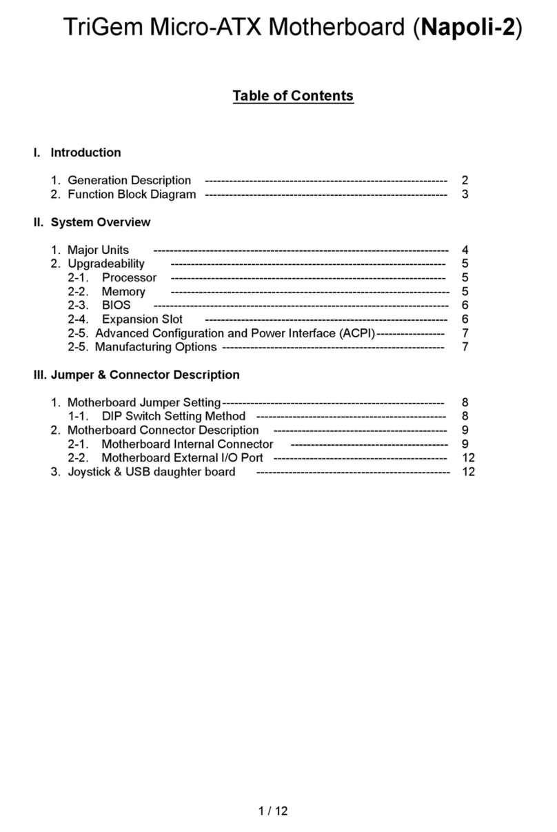 TRIGEM Napoli-2 user manual
