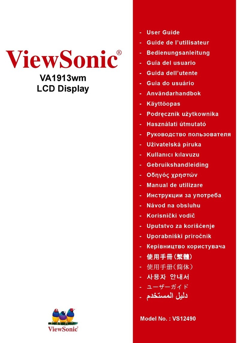ViewSonic VA1913wm VS12490 User manual