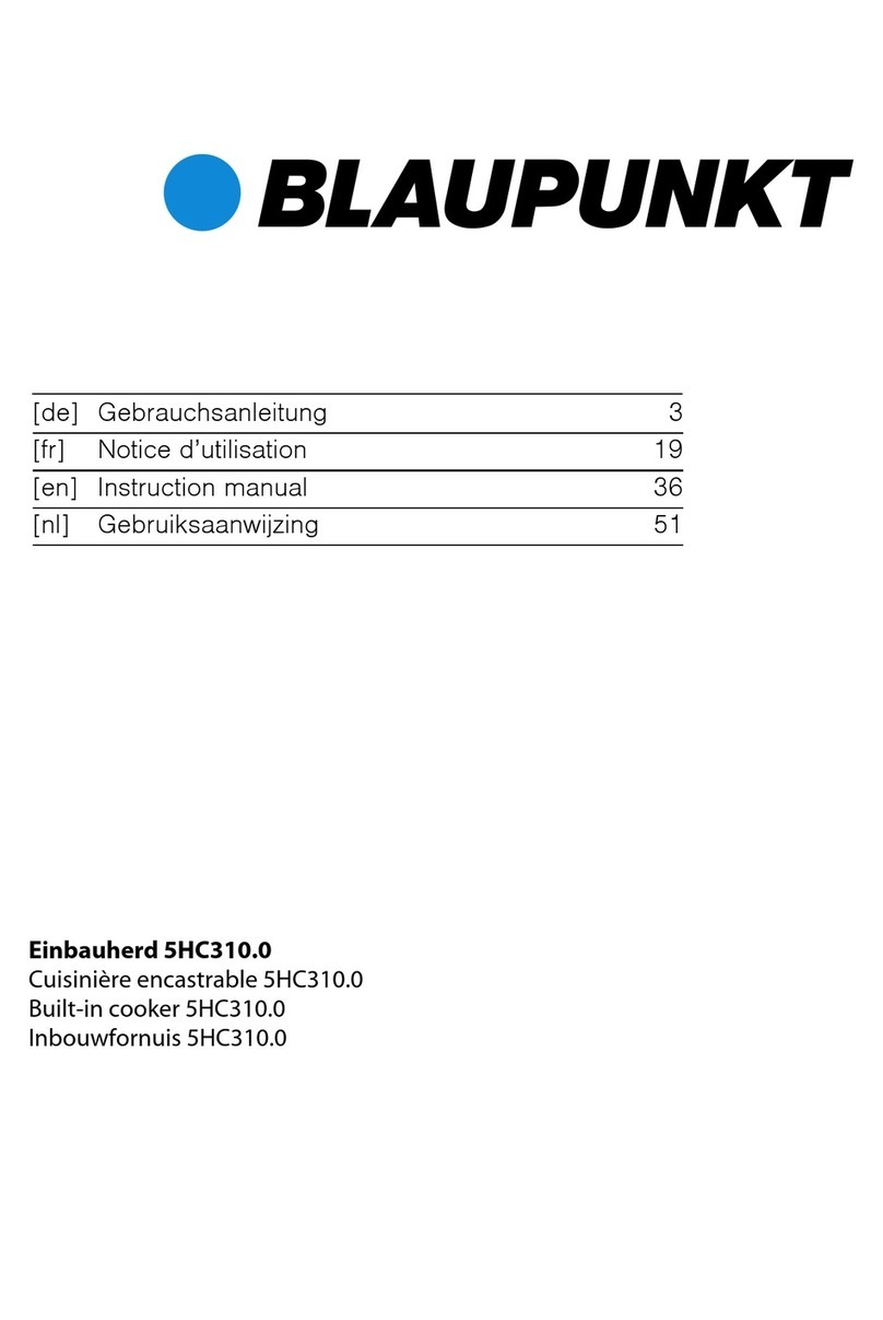 Blaupunkt 5HC310.0 User manual
