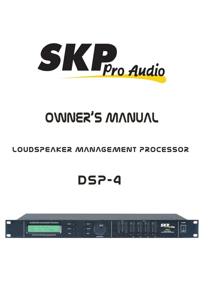 SKP Pro Audio DSP-4 owner's manual