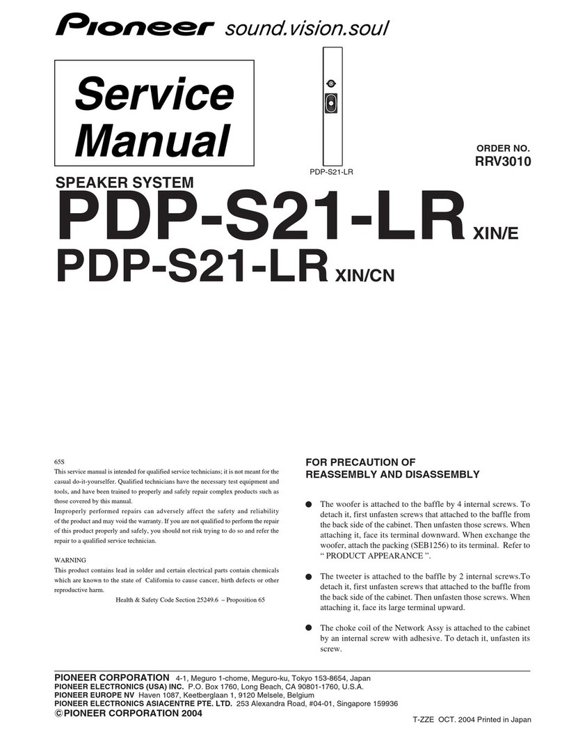 Pioneer PDP-S21-LR User manual