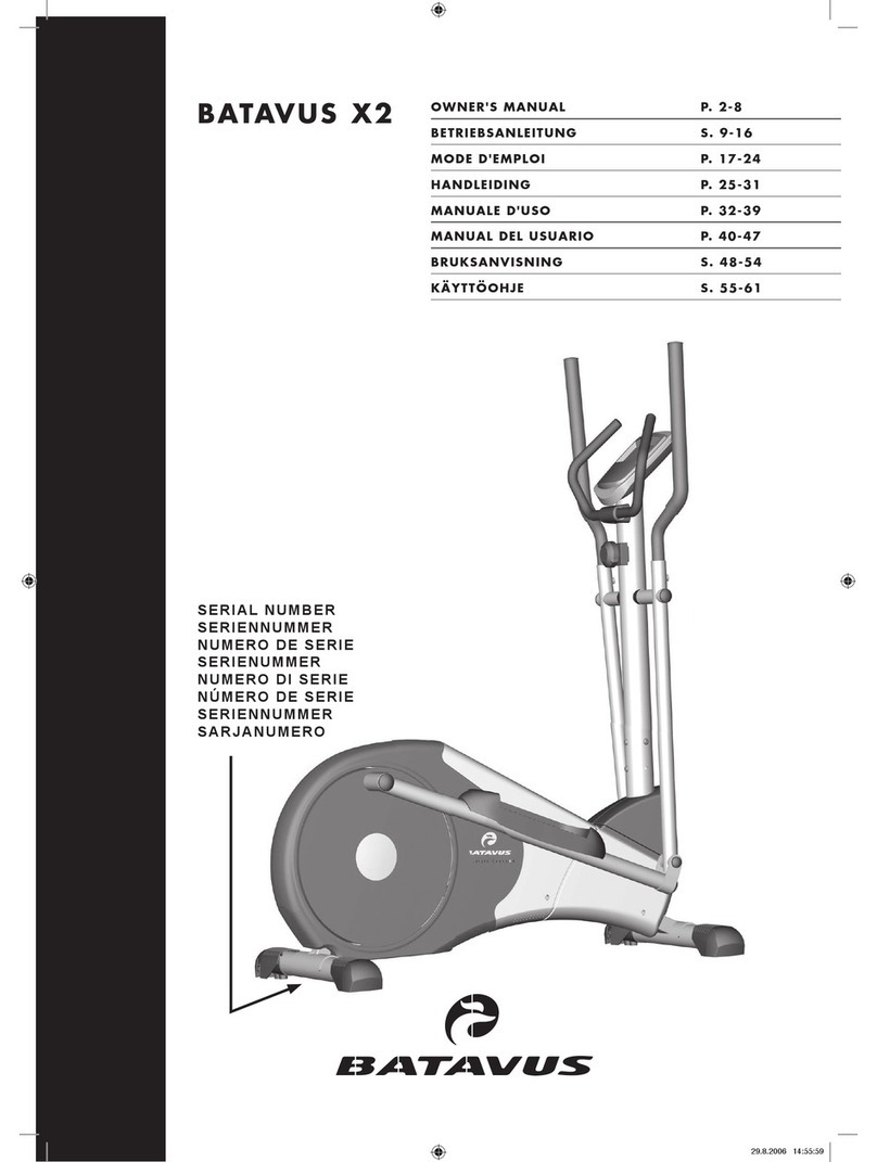 Batavus X2 owner's manual