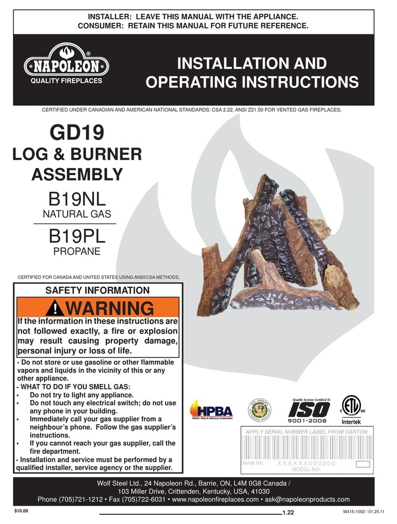 Napoleon B19NL Installation and operating instructions