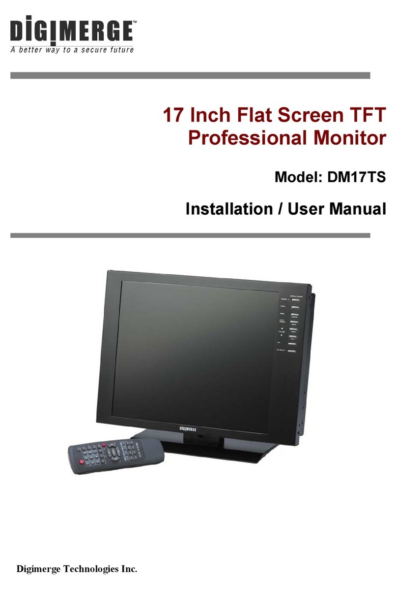 Digimerge DM17TS Instruction Manual