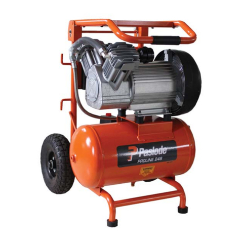 Paslode Proline 248 User and maintenance manual