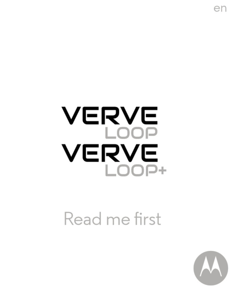 Verve LOOP Manual