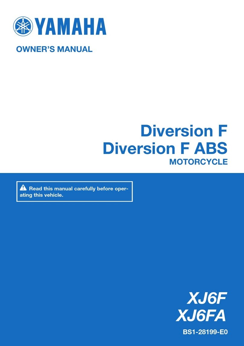 Yamaha diversion F User manual