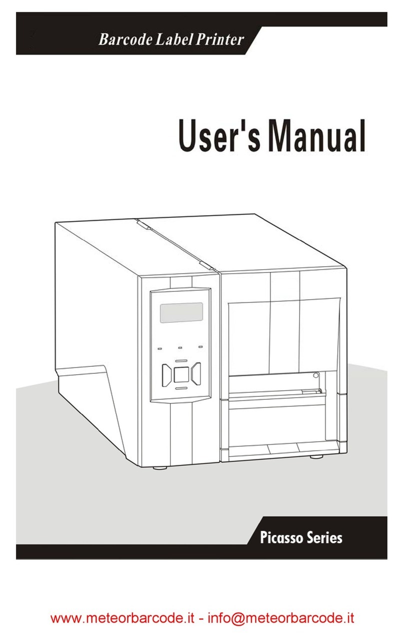 Meteor Picasso 200dpi User manual