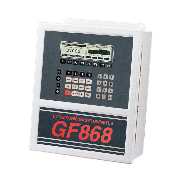 Panametrics GF868 Programming manual