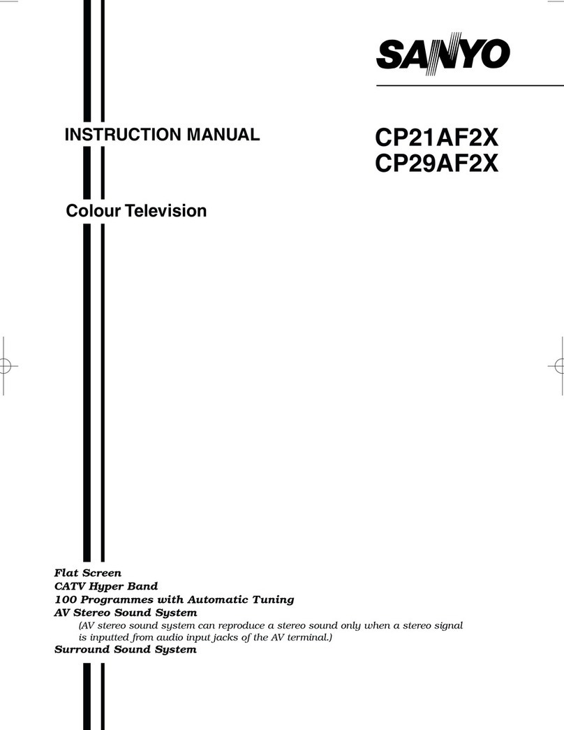 Sanyo CP21AF2X User manual