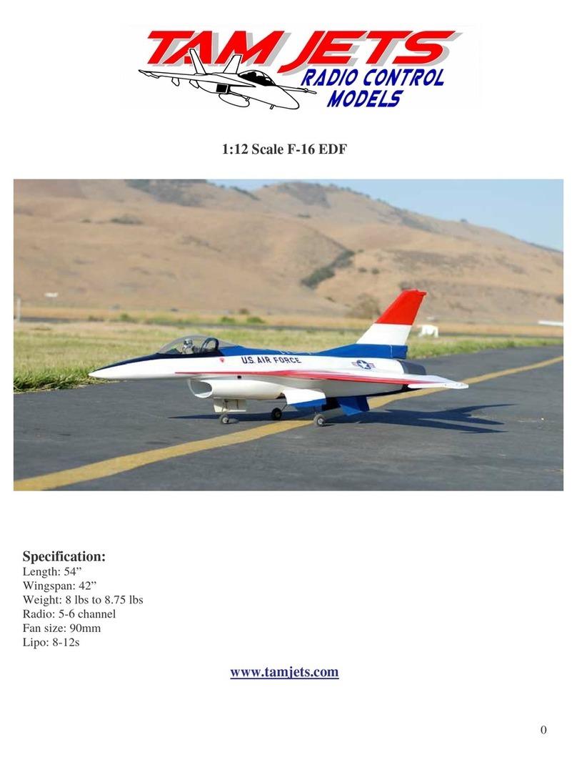 Tamjets F-16 EDF Assembly instruction