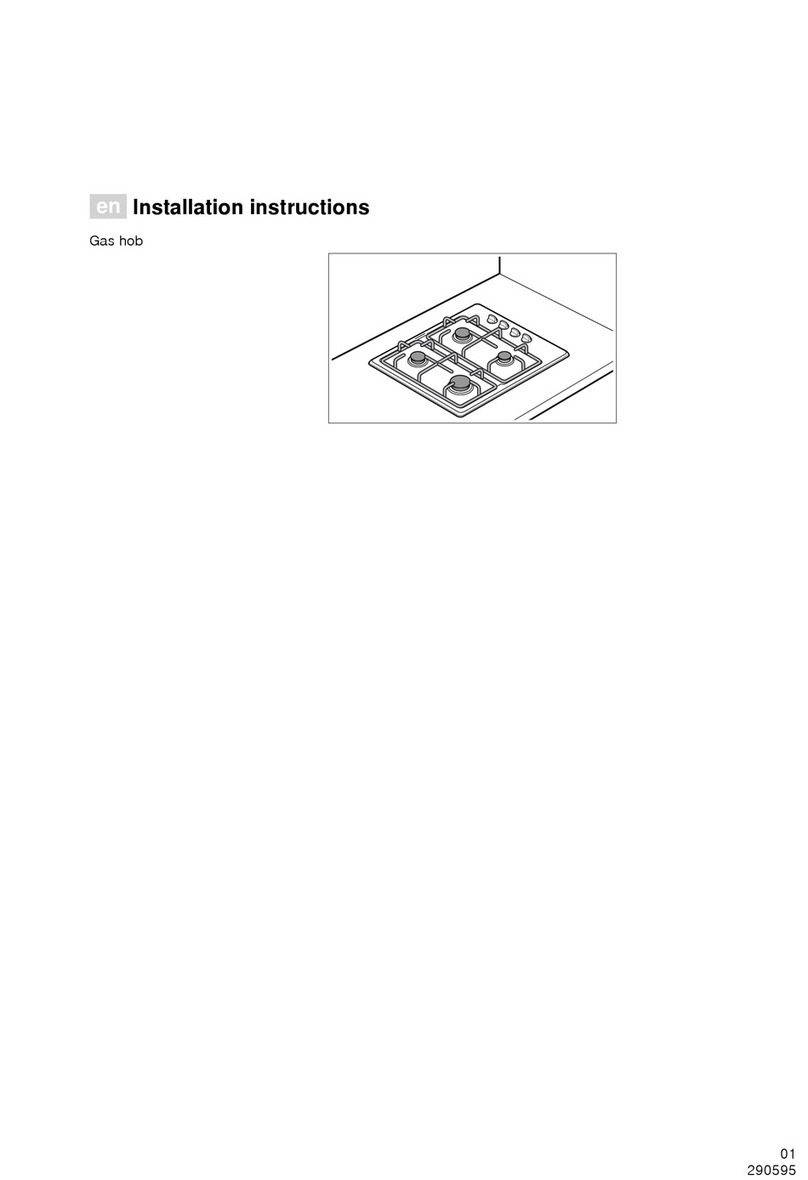 Partner G20 installation instructions