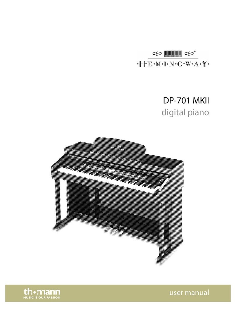 Hemingway DP-701 MKII user manual