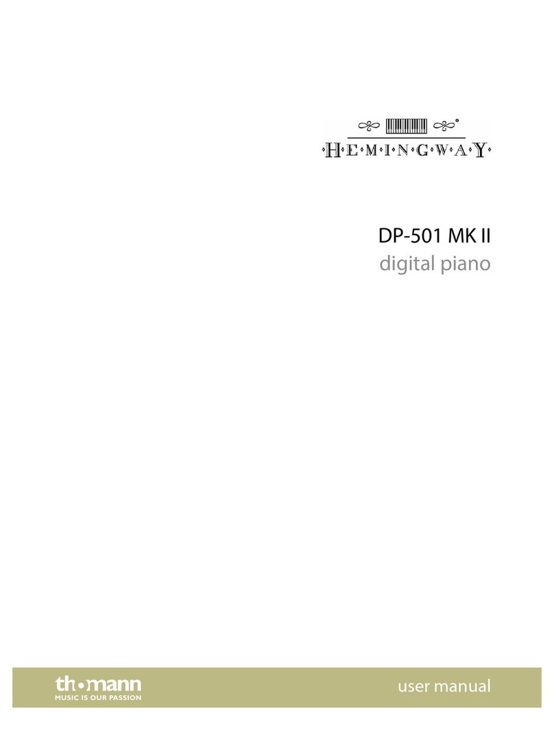 Hemingway DP-501 MK II user manual