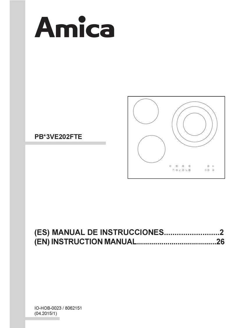 Amica PB3VE202FTE User manual