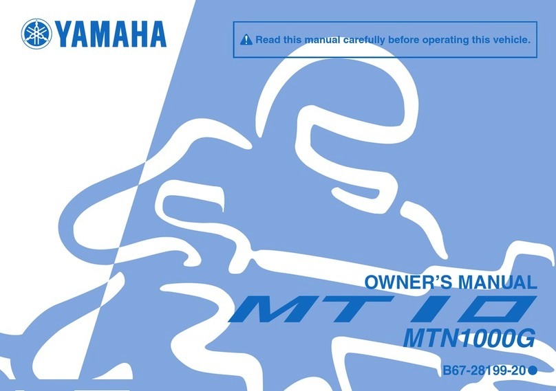 Yamaha MT 10 owner's manual