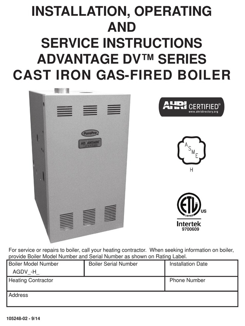 Pure-Pro AGDV3 Service manual