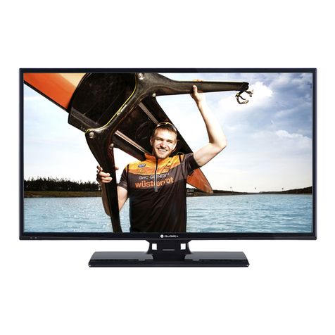 Gogen TVH32164 User manual