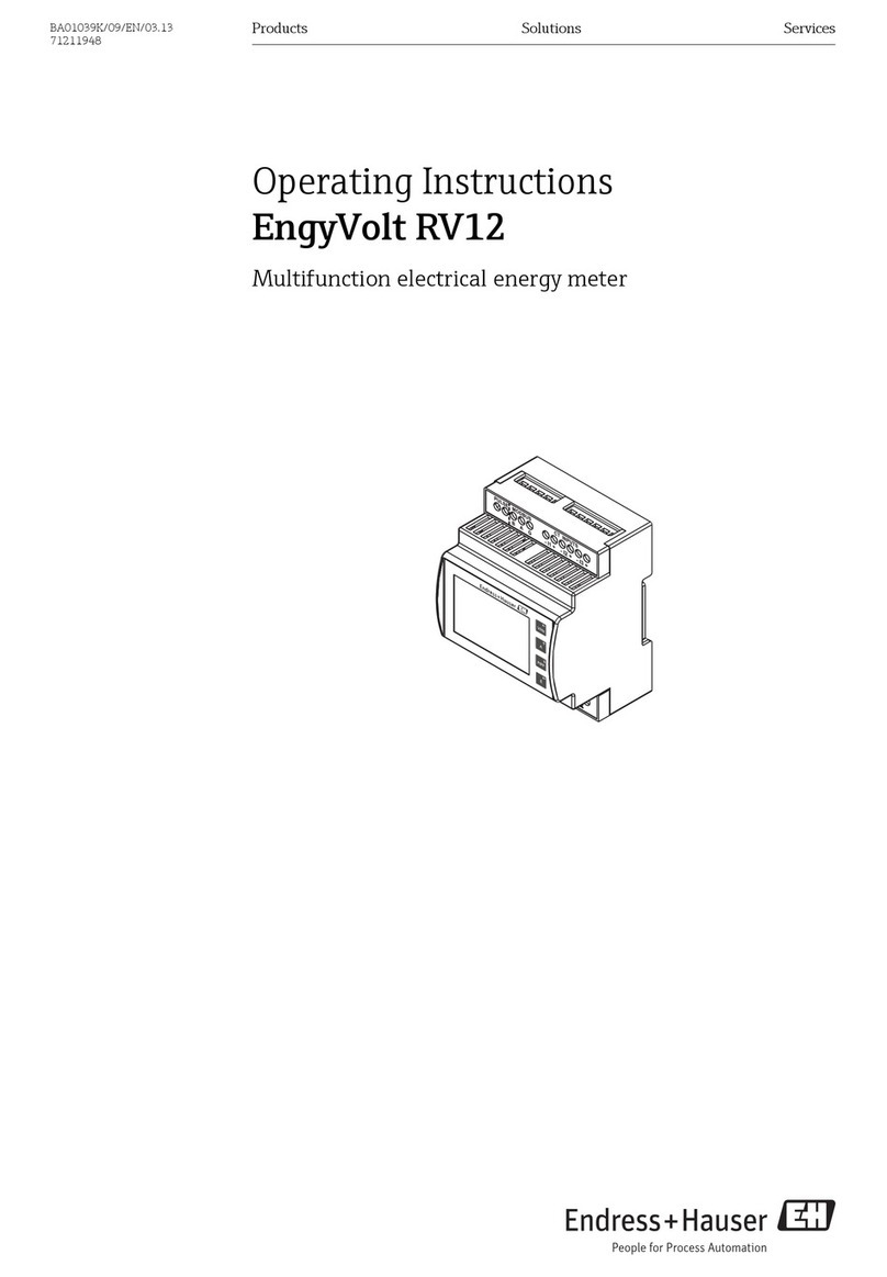 Endress+Hauser EngyVolt RV12 operating instructions