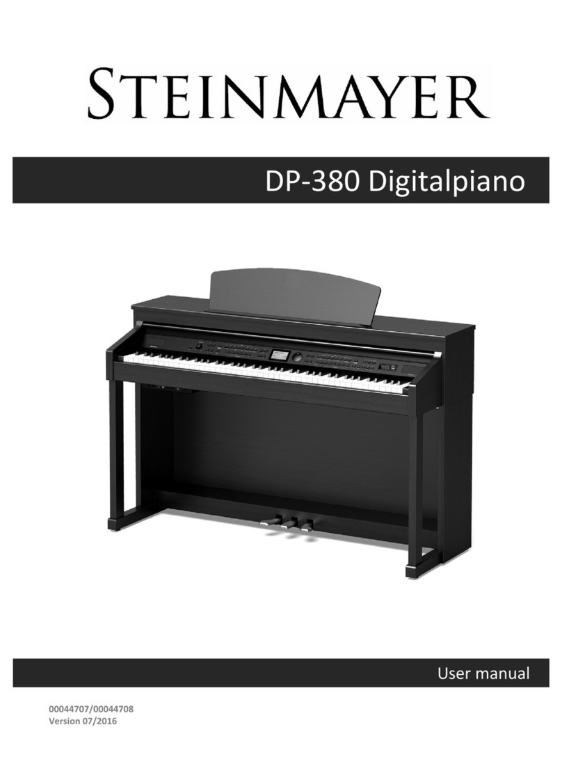 Stein Mayer DP-380 User manual