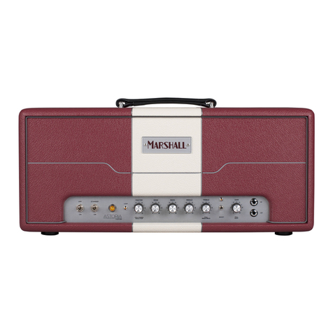 Marshall Amplification AST2C User manual