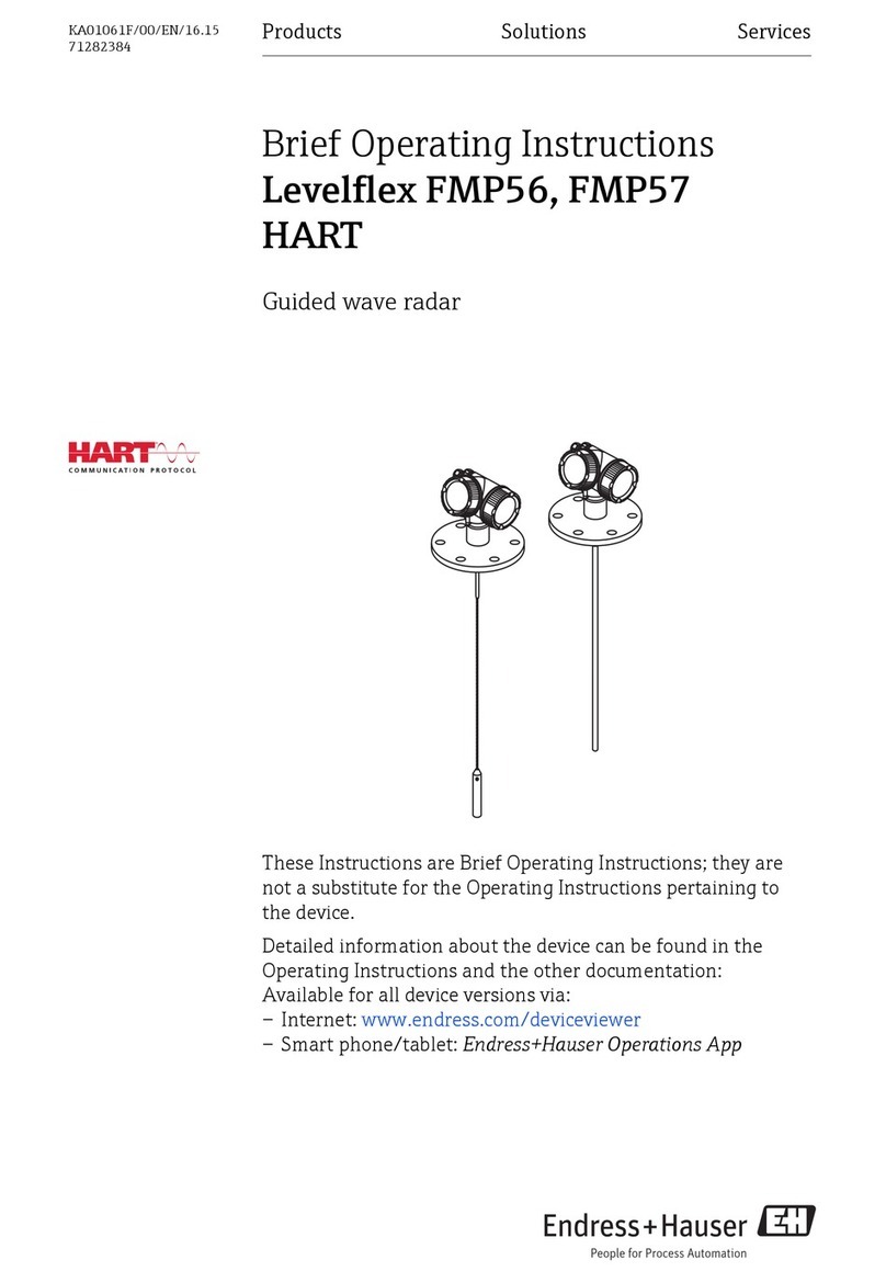 Endress+Hauser Levelflex FMP56 Brief operating instructions