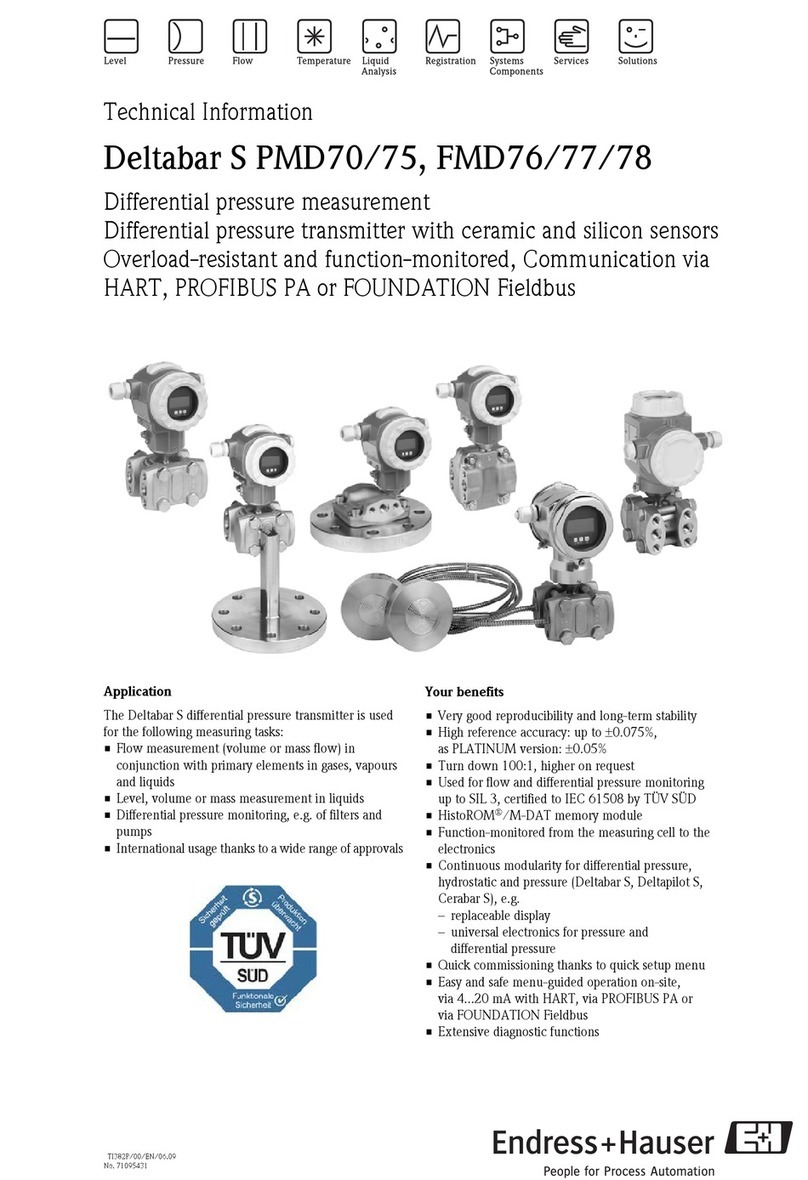 Endress+Hauser Deltabar S PMD70 technical information