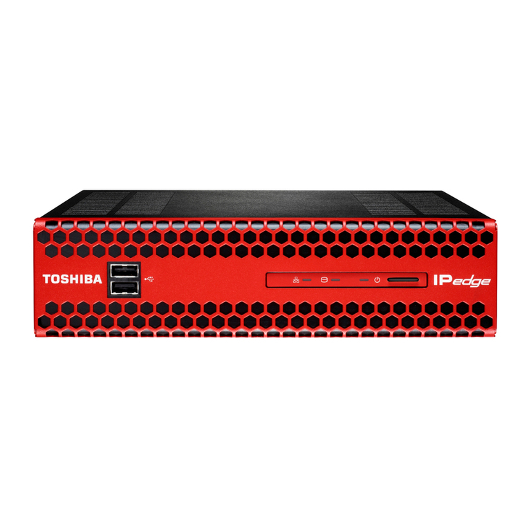Toshiba IPedge General description