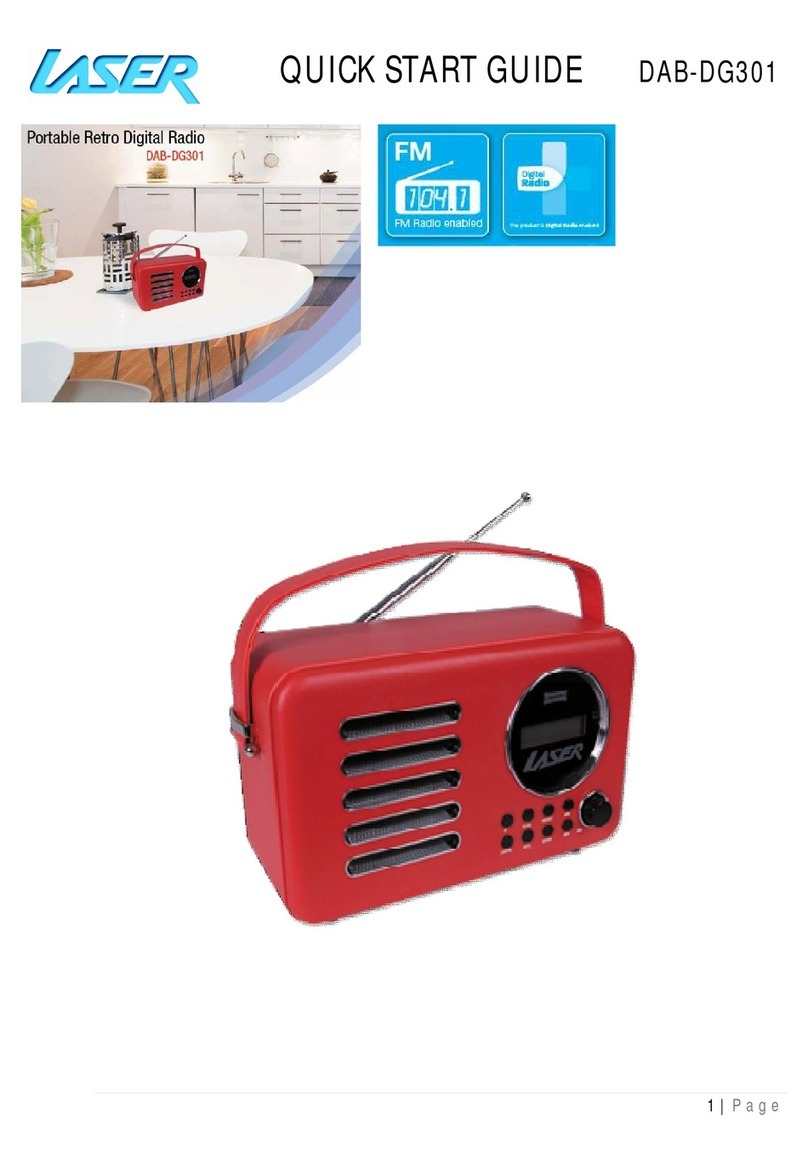 Laser DAB-DG301 User manual
